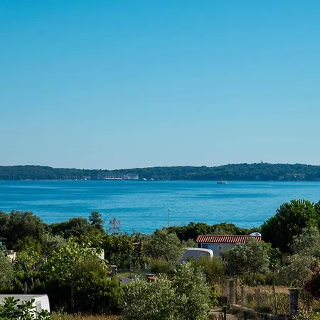 Teuta_commodious At The *